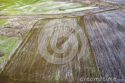 Fields with winter crops and plowed field. Fields covered with snow. Stock Photo