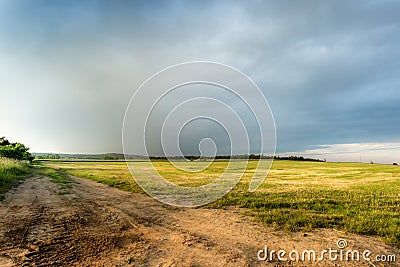 Fields of yellow rapeseed with road going to indefinite Stock Photo
