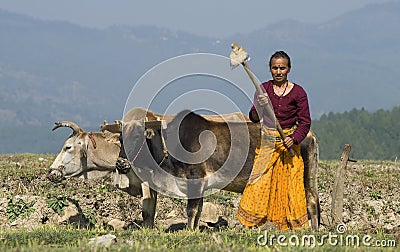 Fieldwork Editorial Stock Photo