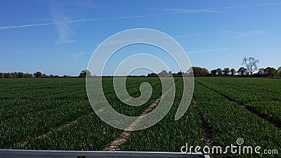 Fieldwork Stock Photo