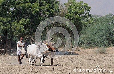 Fieldwork in India Editorial Stock Photo