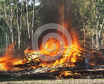 Fierce flames raging fire Stock Photo