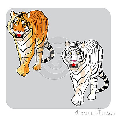 Fierce looking tiger Vector Illustration