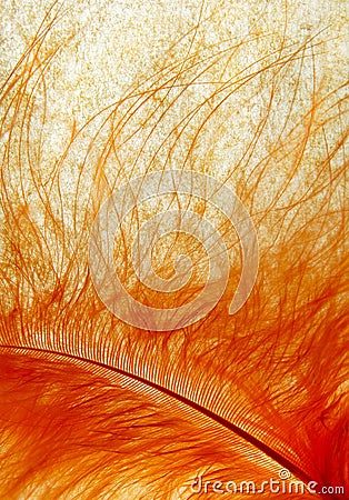 Fiery abstract background Stock Photo