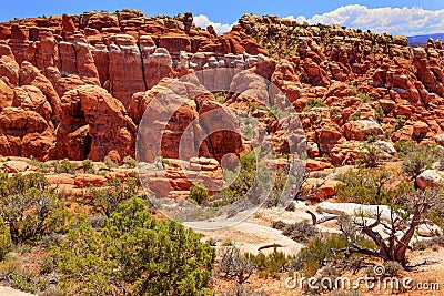 Fiery Furnace Hoodoos Rock Canyon Arches National Park Moab Utah Stock Photo