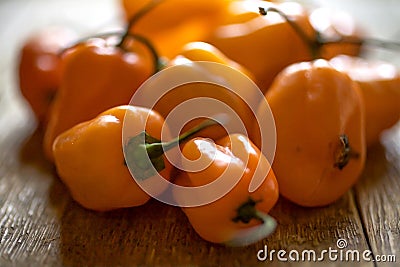Fiery orange habanero chiles Stock Photo