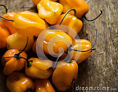 Fiery orange habanero chiles Stock Photo