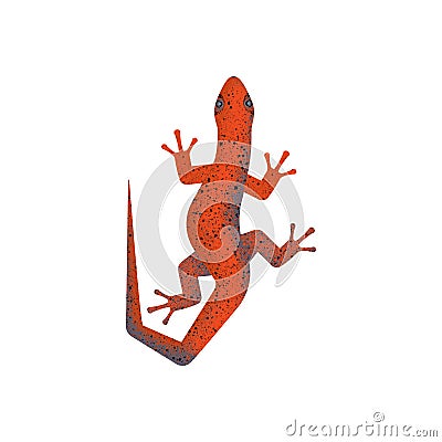 Fiery salamander. Illustration. Logo. Vector Illustration