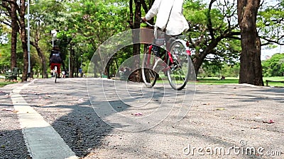Fiets het Berijden in Park HD Fiets het Berijden in Park HD