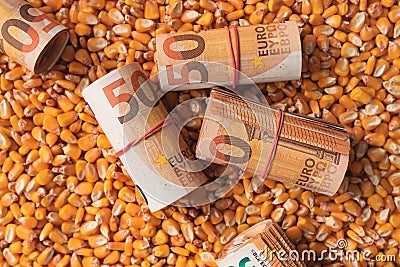 Fifty euros bankrolls, rolled European Union currency money over harvest corn maize grain Stock Photo