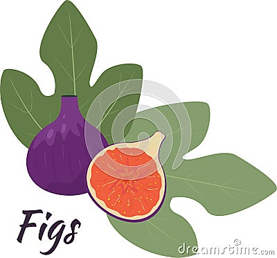 Fig fruits on a white background, editable object. Figs whole and cut in half with leaves. Isolated object. Vector Illustration