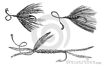 Fig. 49. Palmer. Fig. 50. Ant wing in August. Fig. 51. little Peacock, vintage engraving Vector Illustration