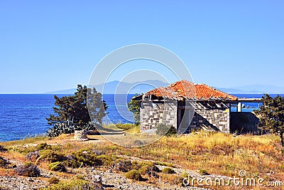A fig tree standing by the sea in Izmir FoÃ§a and an old water well next to it. An Aegean town animate. Stock Photo
