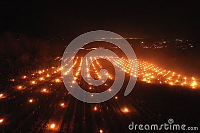 Fight against the frost in the vineyard in Burgundy. Stock Photo