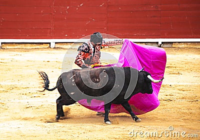 The fight of a bull and bullfighter. Corrida de toros. Editorial Stock Photo