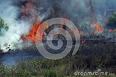 Fight with fire Editorial Stock Photo