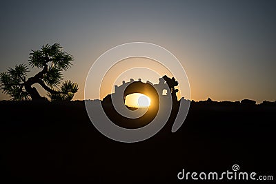 Fighter with a sword silhouette a sky ninja. Samurai on top of mountain with dark toned foggy background. Stock Photo