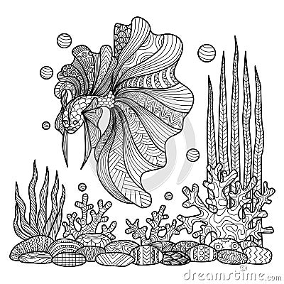 Fighting fish drawing for coloring book. Vector Illustration