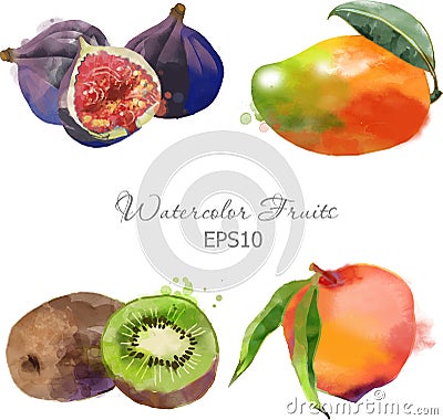 Figs, mango, kiwi, peach Vector Illustration