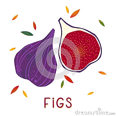 Figs: whole fruit and half sliced on a white background Vector Illustration