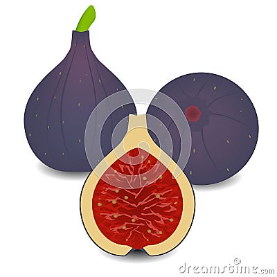 Figs whole fruit with half on white background. Vector Illustration