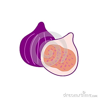 figs whole and half hand drawn. vector, minimalism. icon, sticker. fruit, food. Vector Illustration