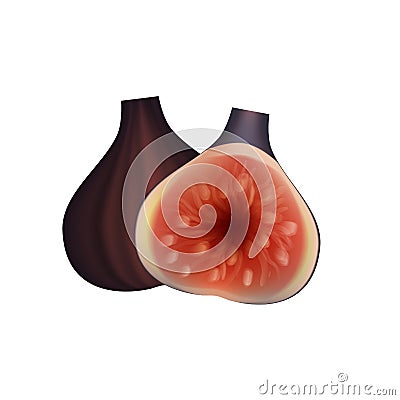 Figs whole and sliced Vector Illustration