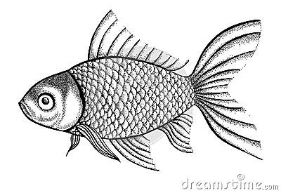 Figure fish painted in a graphic style points and Vector Illustration