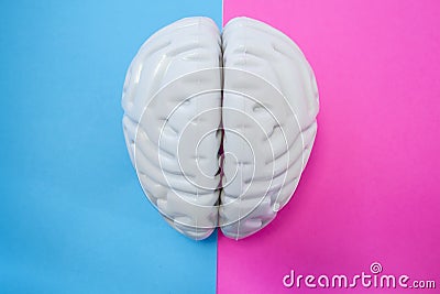 The figure of human brain separates half blue pink background. The concept of male and female brain. The idea for brain union or d Stock Photo