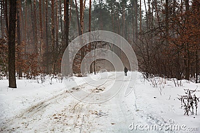 The figure of a man who goes in winter on the road alone in a foggy snowy forest afternoon Editorial Stock Photo