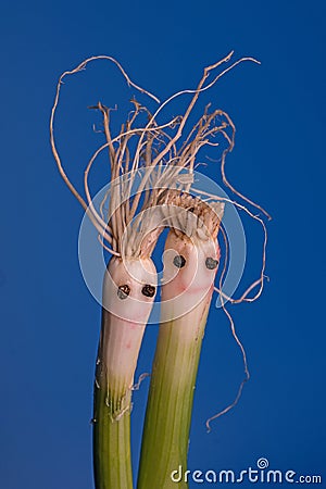 Figure man and women made from green onions Stock Photo