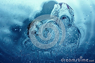 Figure of the mystical creatures of the water Stock Photo