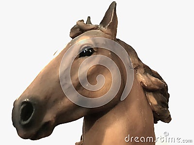 Brown horse head Stock Photo