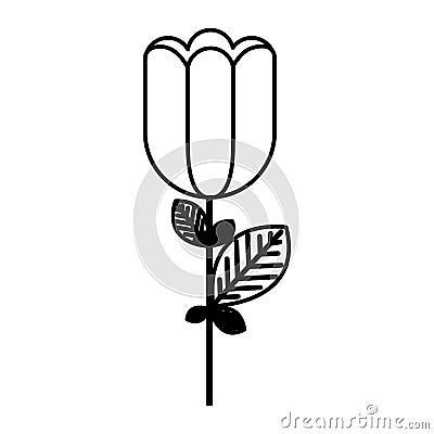 figure rose with square petals icon Stock Photo