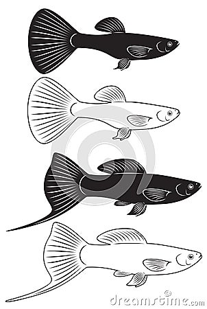 Aquarium fish Vector Illustration