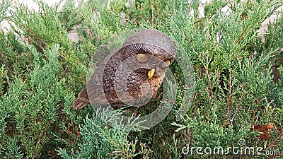 The figure of a small plastic owl on the wide branches of small thuja Stock Photo