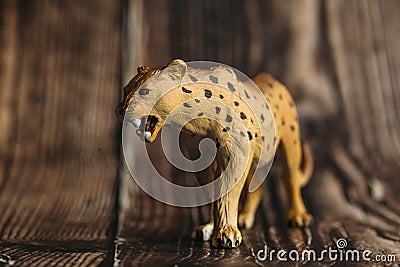 Figure of a toy Cheetah on a wooden background Stock Photo