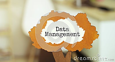 figure of a tree with text DATA MANAGEMENT inside the foliage. Business concept Stock Photo