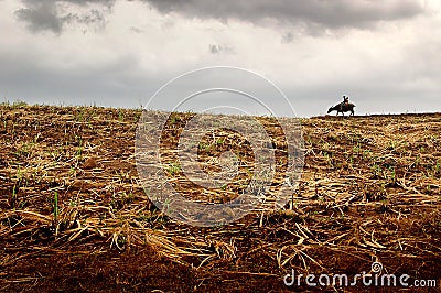 Just Passing By Stock Photo