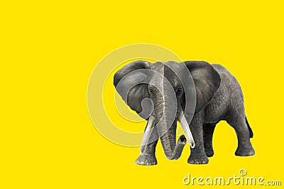 Figurine Elephant on a yellow background Stock Photo