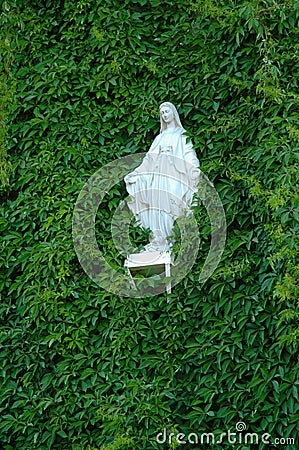 Figurine of the Virgin Mary among ivy Editorial Stock Photo