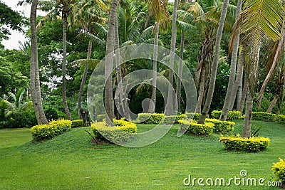 Fiji Garden Art Stock Photo