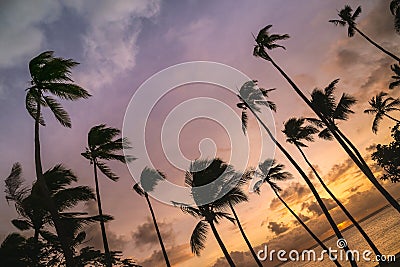 Fiji sunset view Stock Photo