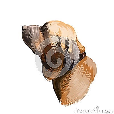 Fila Brasileiro, Brazilian Mastiff, Cao de fila brasileiro dog digital art illustration isolated on white background. Brazil Cartoon Illustration