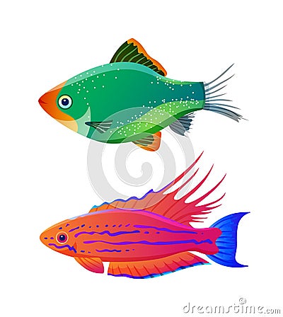 Filamented flasher wrasse and green tiger barb Vector Illustration