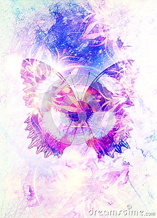 Filigrane floral ornament and Butterfly. cosmic backgrond, computer collage. Stock Photo