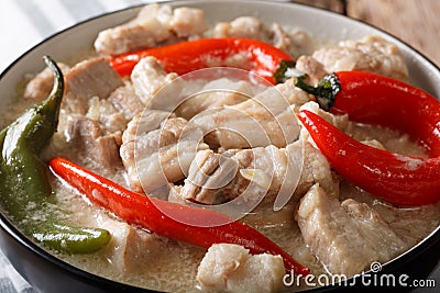 Filipino Bicol Express from spiced pork in coconut milk close-up. horizontal Stock Photo