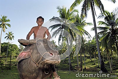 Filipino man riding a water buffalo, Philippines Editorial Stock Photo