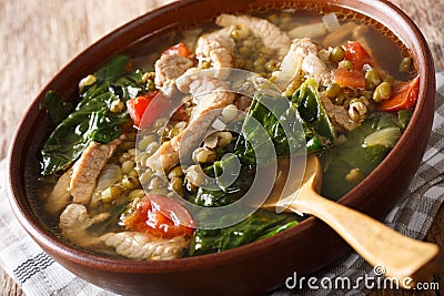 Filipino soup of beans mung with pork closeup in a bowl. horizon Stock Photo