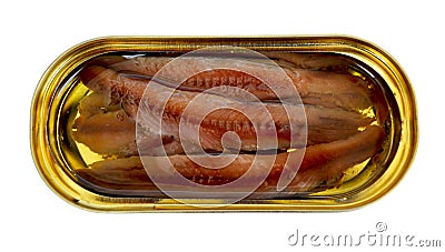 Fillet of anchovies with oil in a yellow oval tin can, close up, top view, isolated Stock Photo